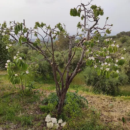Bed & Breakfast Kara - Mesi (Crete)