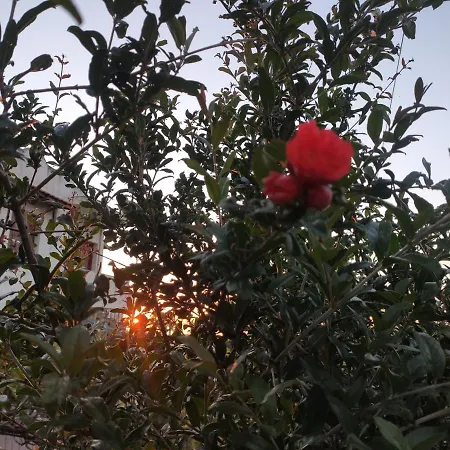 Kara - Mesi (Crete)